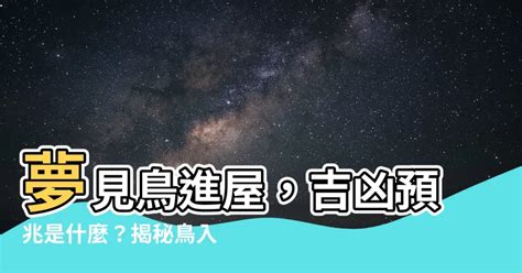 夢見鳥飛進家裡號碼